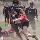 Morris Rugby Youth Tackle Camp